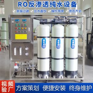RO反渗透纯水设备 大型去离子水处理一体机 净化水设备 除盐水设备